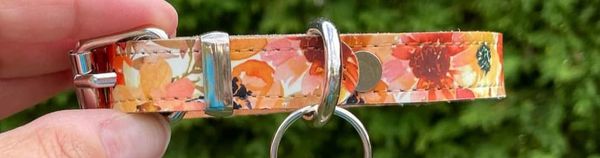 Pet Collar