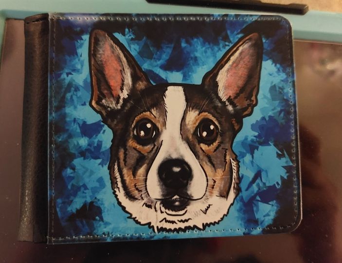 Men wallet